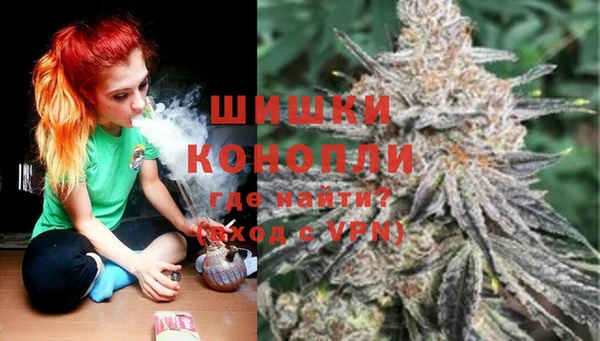 ГАЛЛЮЦИНОГЕННЫЕ ГРИБЫ Белоозёрский