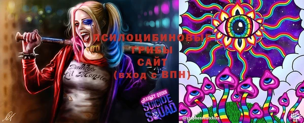амф Балахна