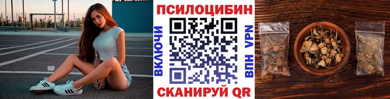 Псилоцибиновые грибы MAGIC MUSHROOMS  закладка  Новый Уренгой 