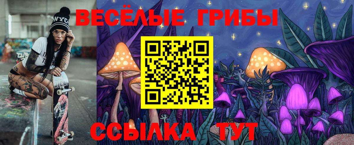 закладки  Псилоцибиновые грибы Cubensis  Вход с VPN  Новый Уренгой 